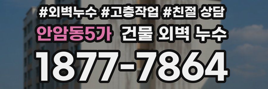 안암동5가 건물 외벽 누수