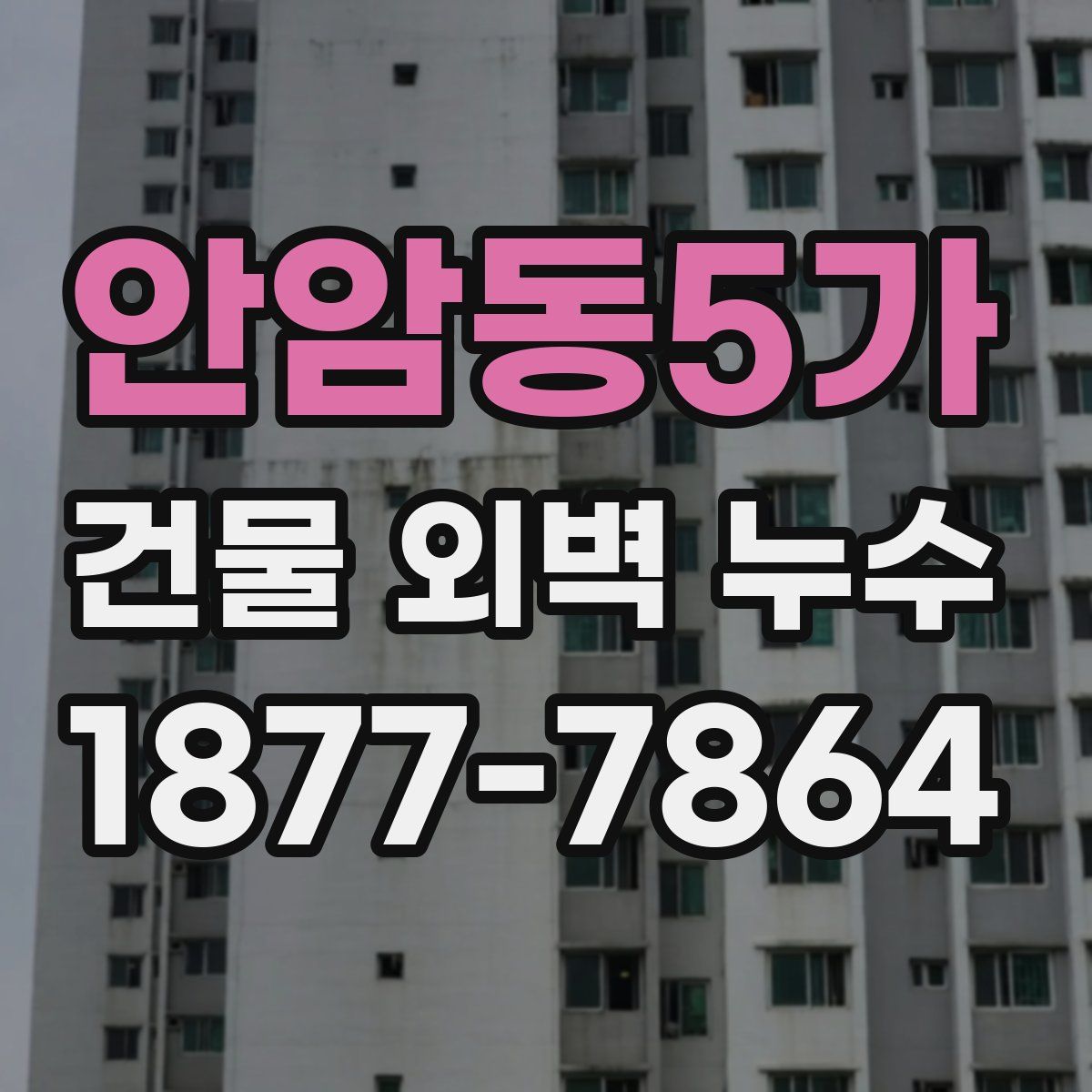 안암동5가 건물 외벽 누수