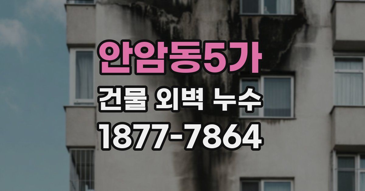 안암동5가 건물 외벽 누수
