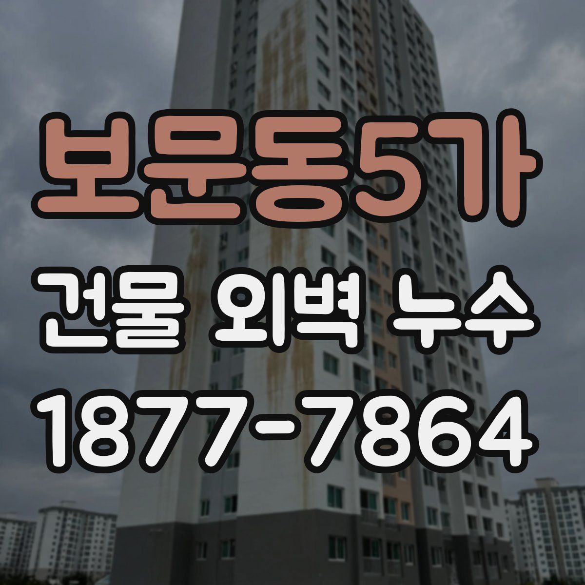 보문동5가 건물 외벽 누수