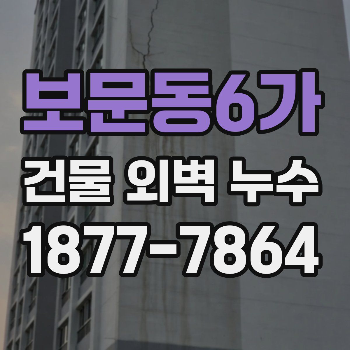 보문동6가 건물 외벽 누수