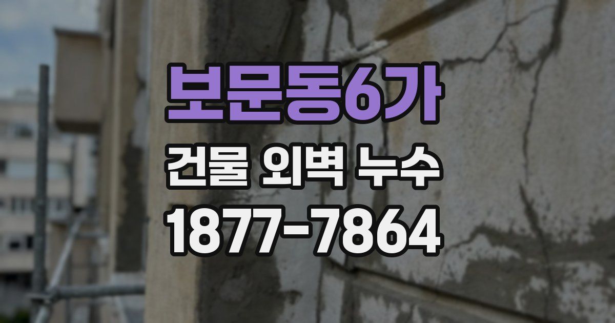 보문동6가 건물 외벽 누수