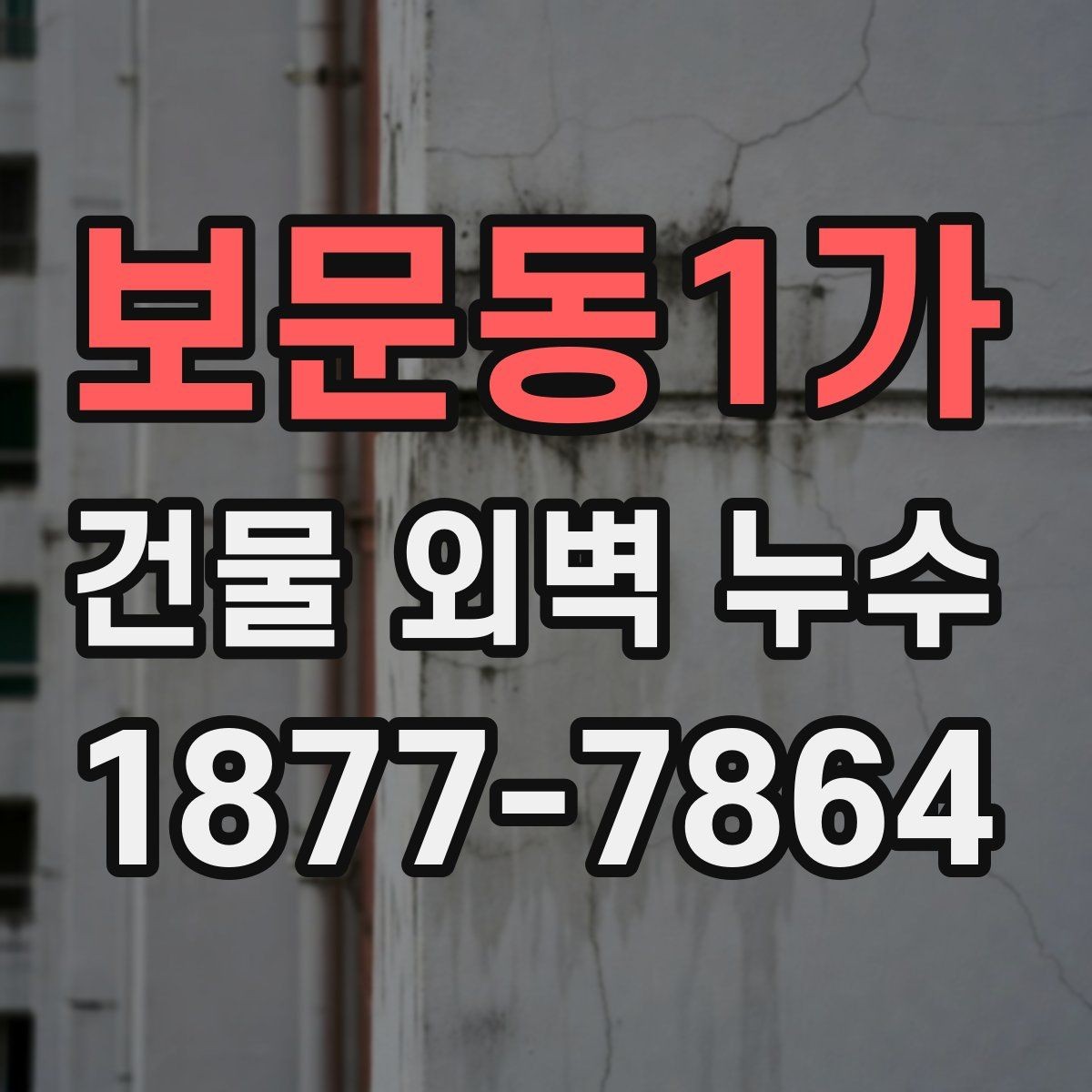 보문동1가 건물 외벽 누수 점검 시기와 관리 요령