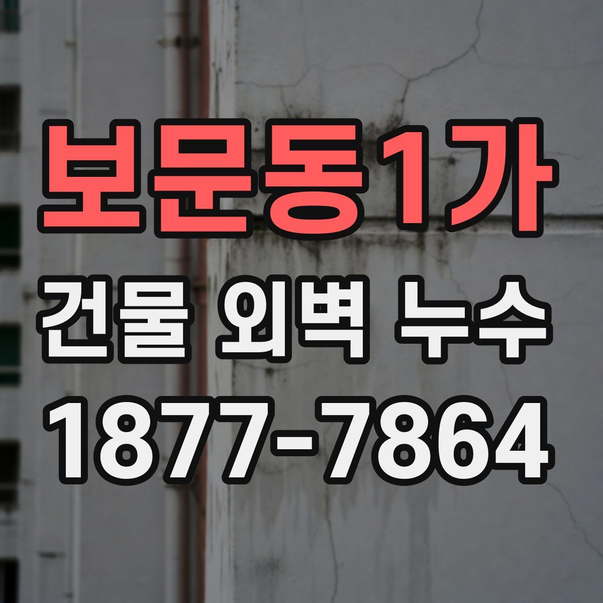 보문동1가 건물 외벽 누수