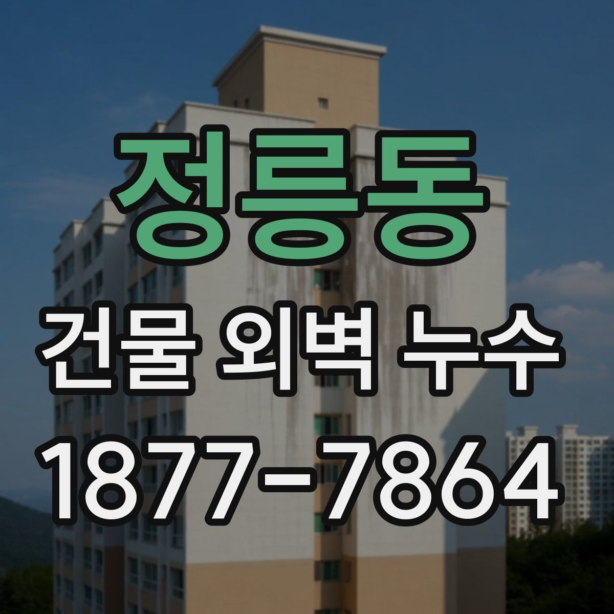 정릉동 건물 외벽 누수