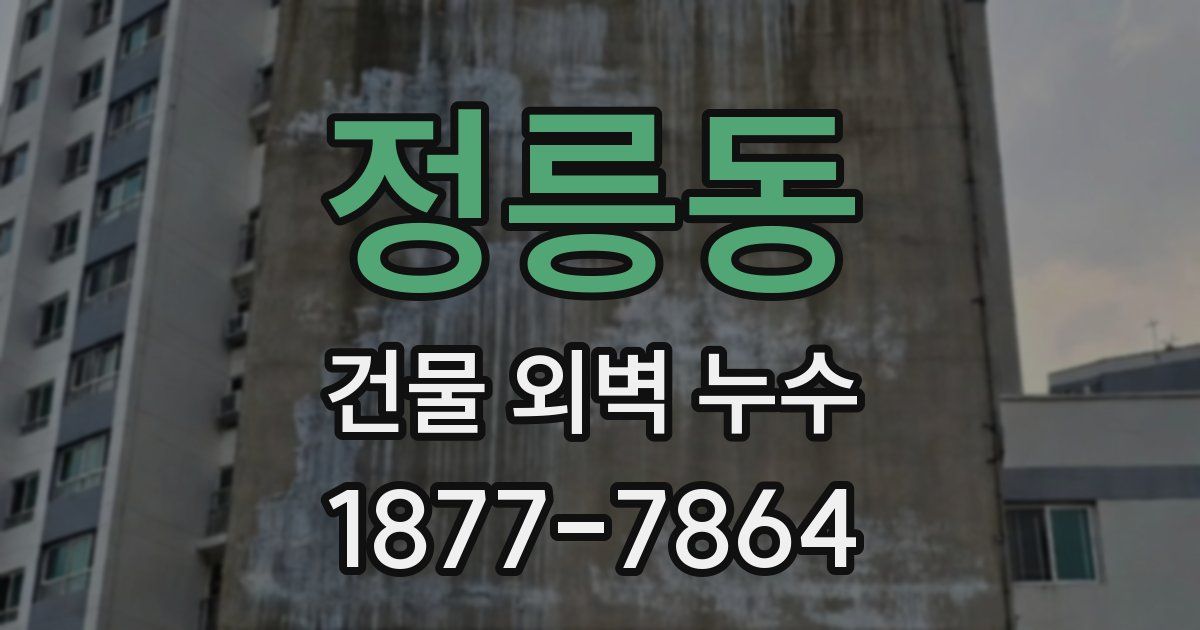 정릉동 건물 외벽 누수