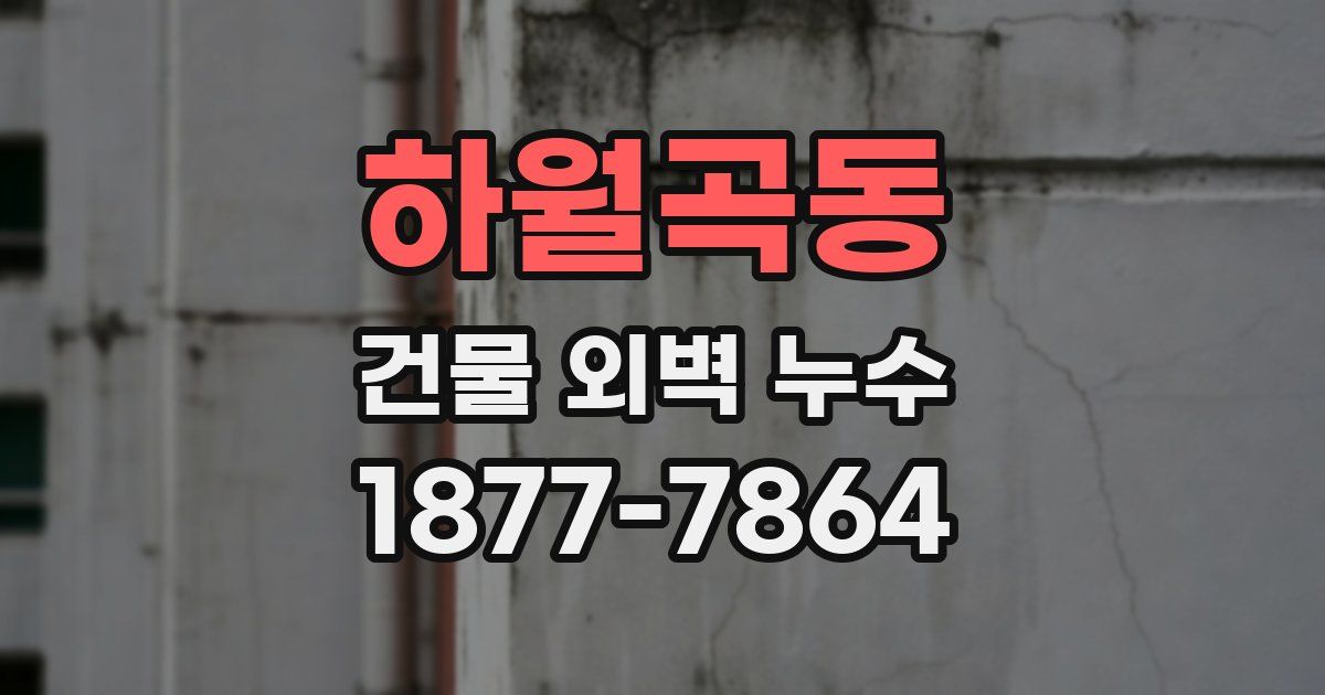 하월곡동 건물 외벽 누수