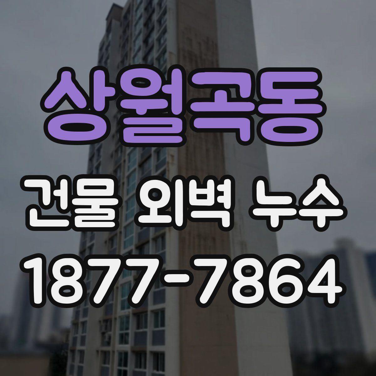 상월곡동 건물 외벽 누수