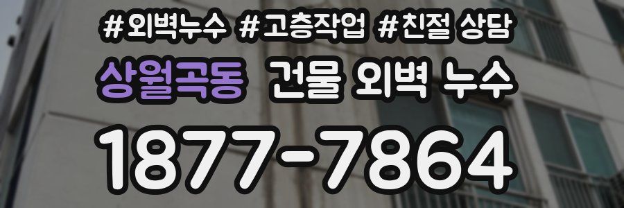 상월곡동 건물 외벽 누수