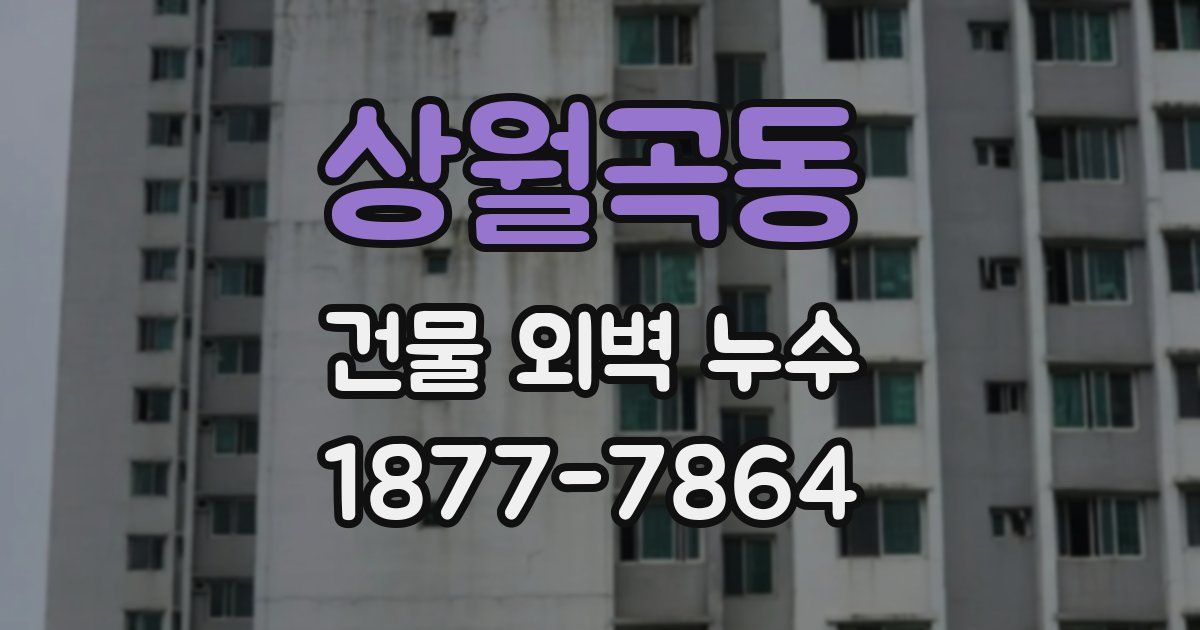 상월곡동 건물 외벽 누수