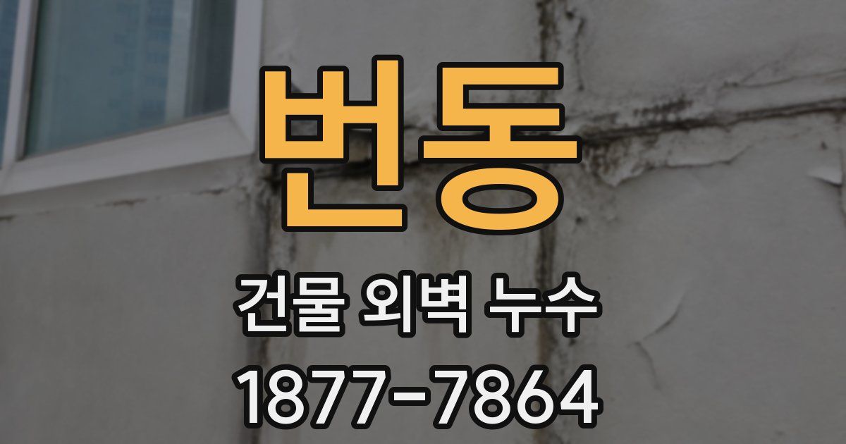 번동 건물 외벽 누수