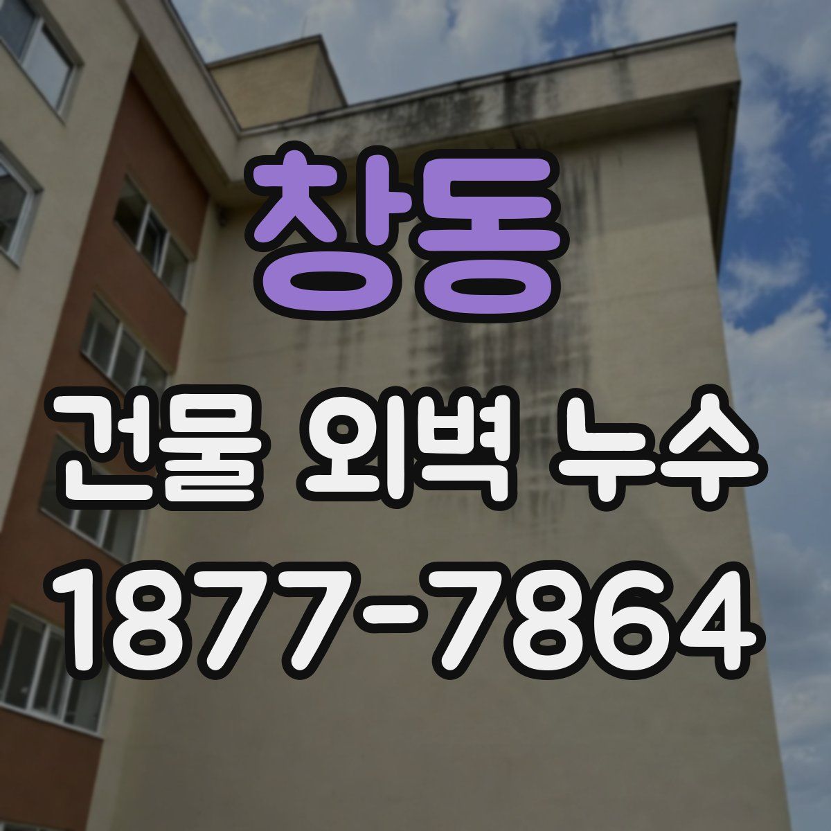 창동 건물 외벽 누수