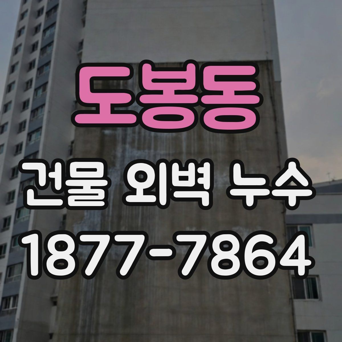 도봉동 건물 외벽 누수 장마철 대비 점검 체크