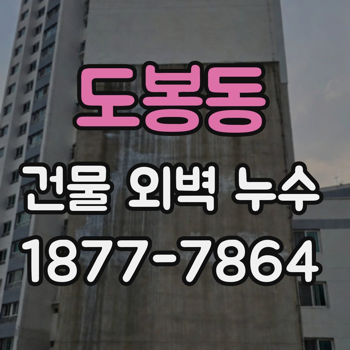 도봉동 건물 외벽 누수