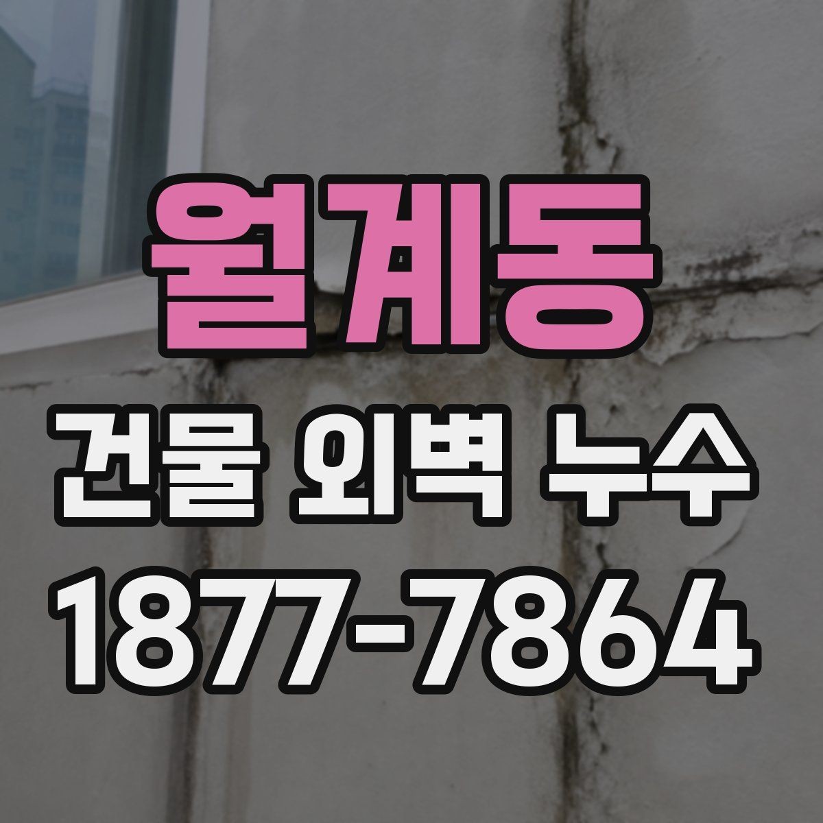 월계동 건물 외벽 누수 보수 전후 비교에서 보는 점