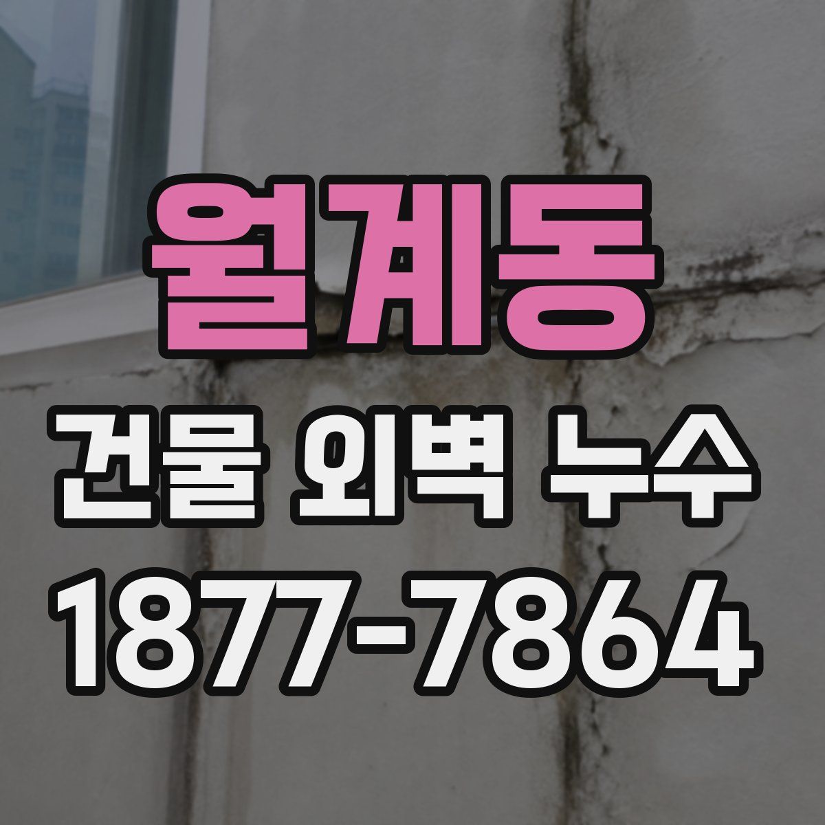 월계동 건물 외벽 누수