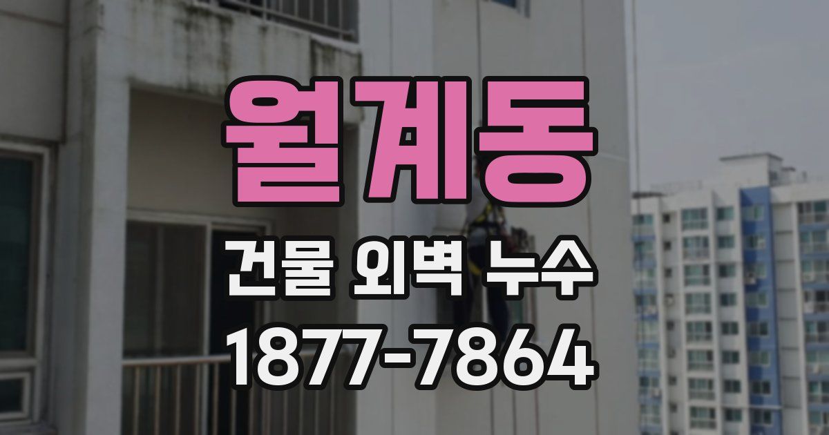 월계동 건물 외벽 누수