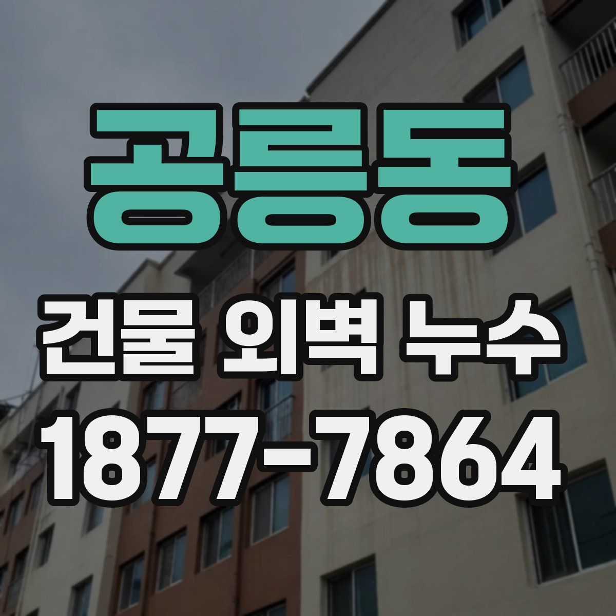 공릉동 건물 외벽 누수