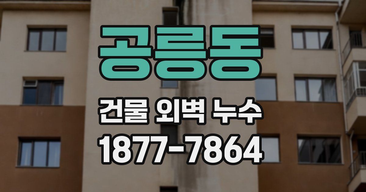 공릉동 건물 외벽 누수