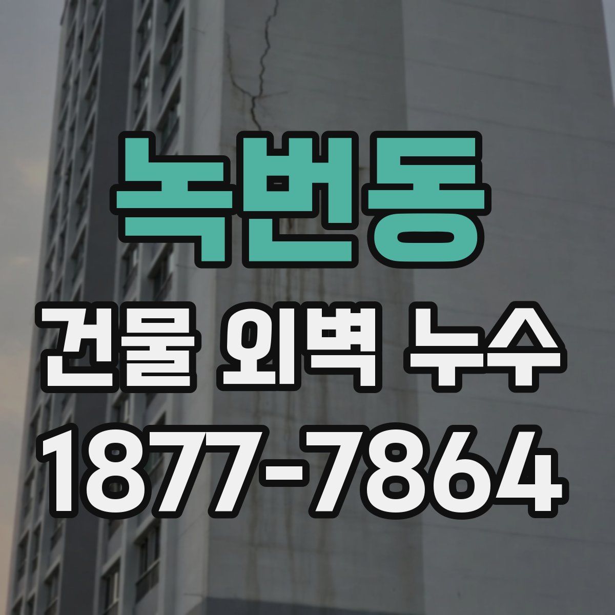 녹번동 건물 외벽 누수