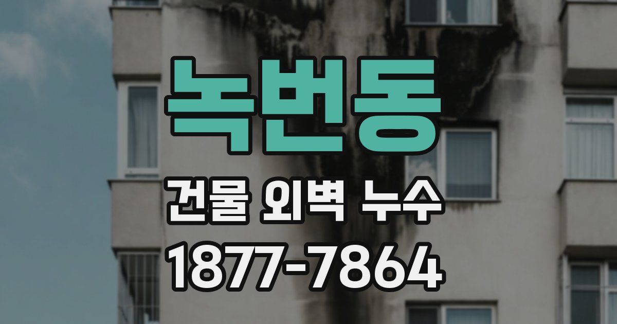 녹번동 건물 외벽 누수