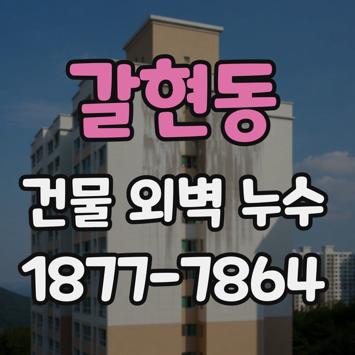 갈현동 건물 외벽 누수