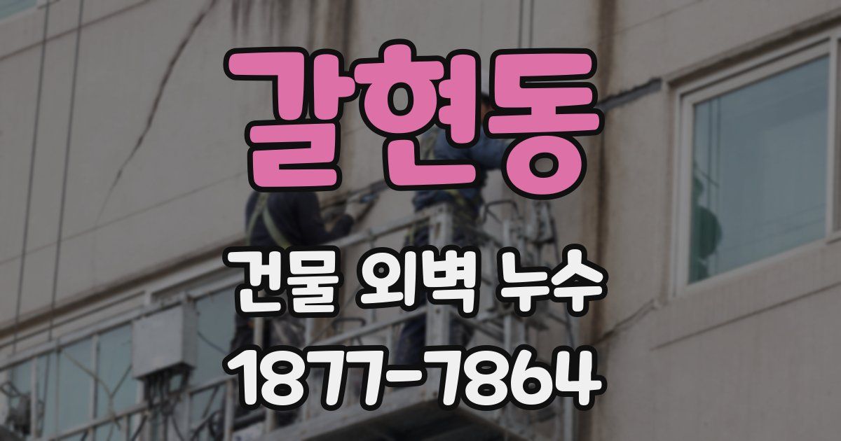 갈현동 건물 외벽 누수