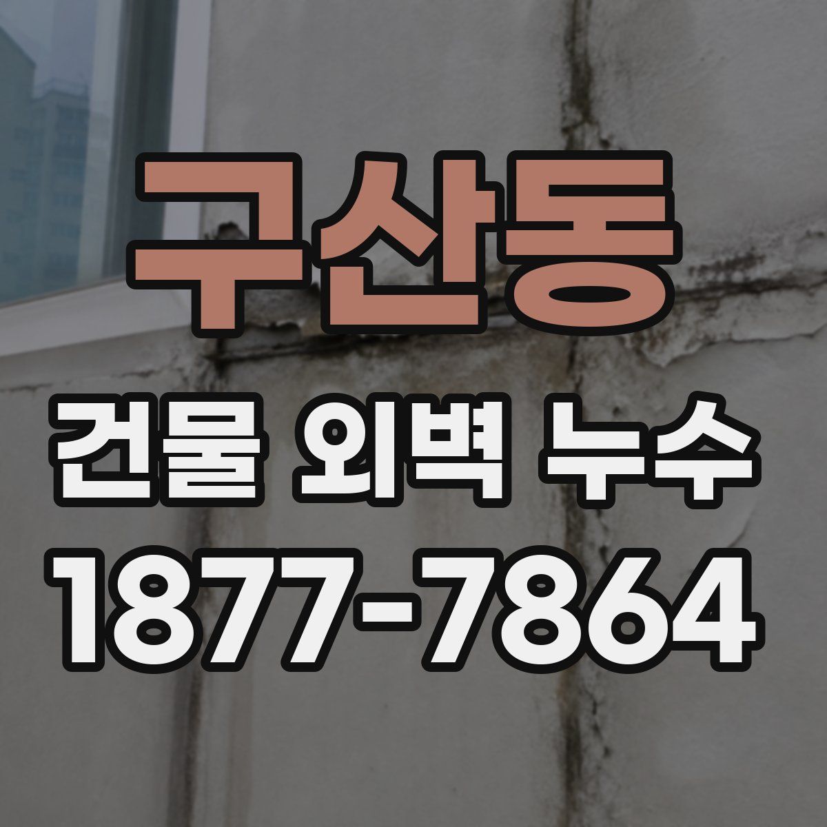 구산동 건물 외벽 누수