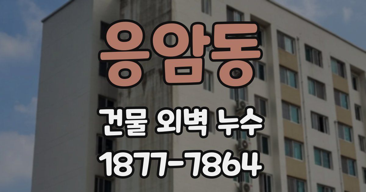 응암동 건물 외벽 누수