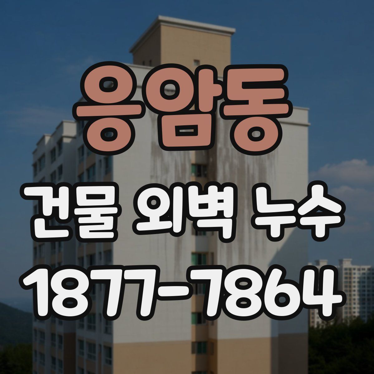 응암동 건물 외벽 누수
