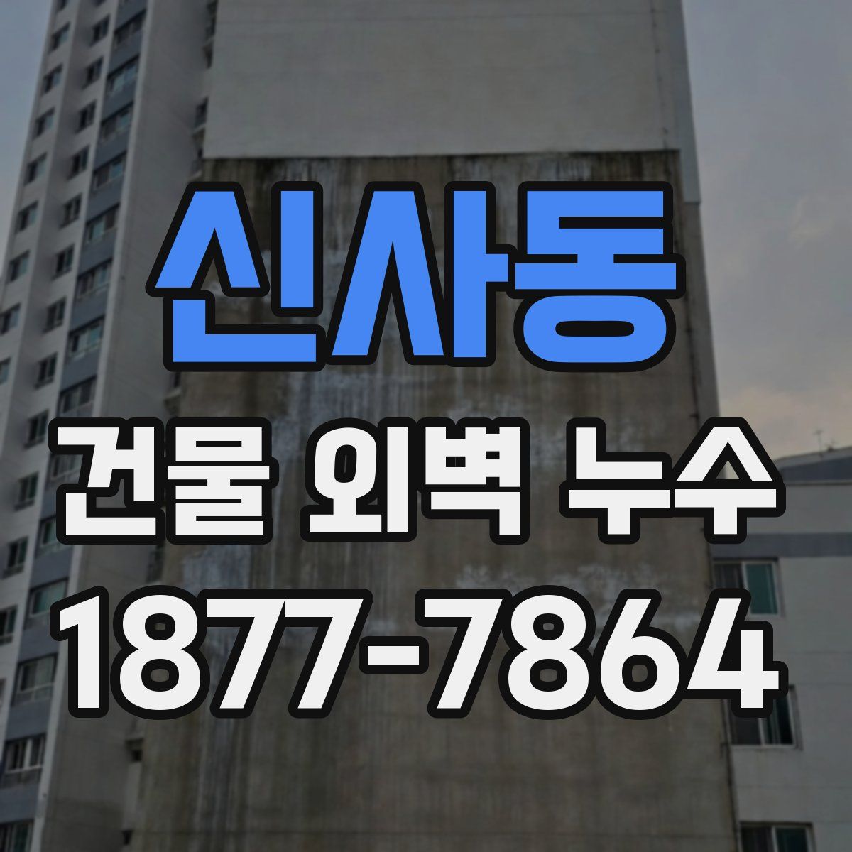 신사동 건물 외벽 누수