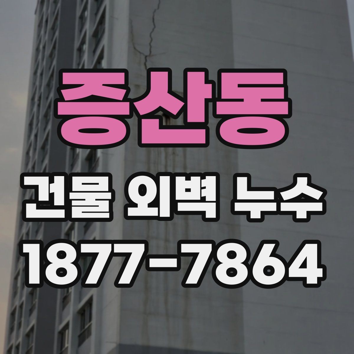 증산동 건물 외벽 누수 방치하면 생길 수 있는 일