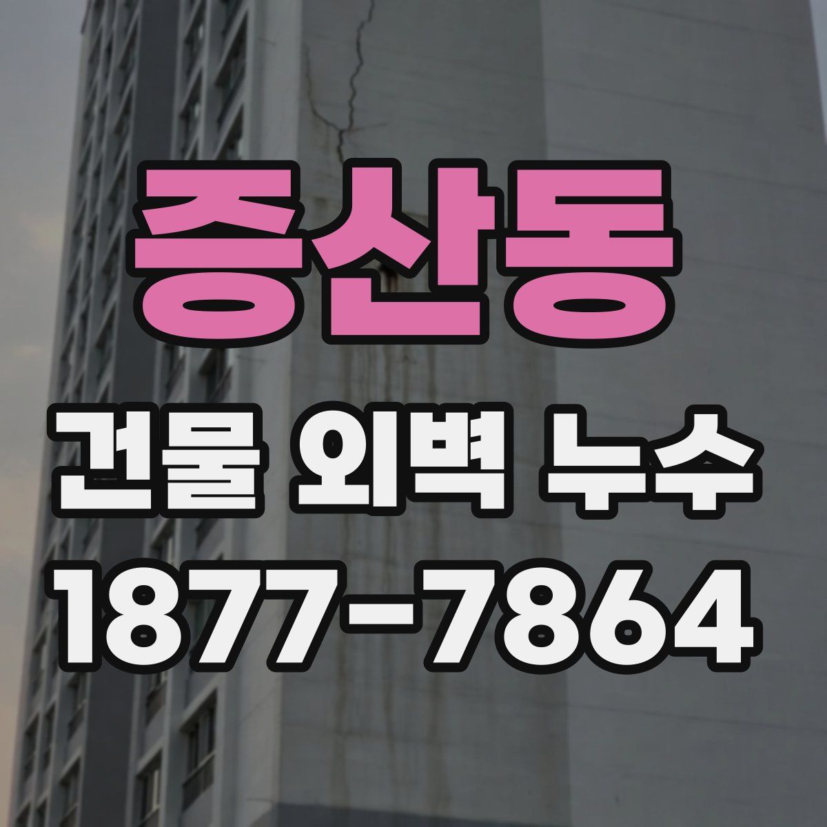 증산동 건물 외벽 누수