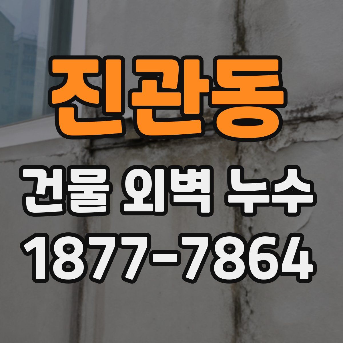 진관동 건물 외벽 누수