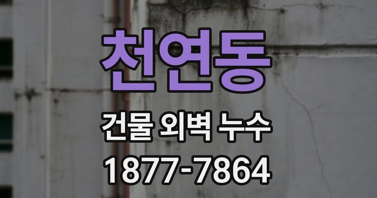 천연동 건물 외벽 누수