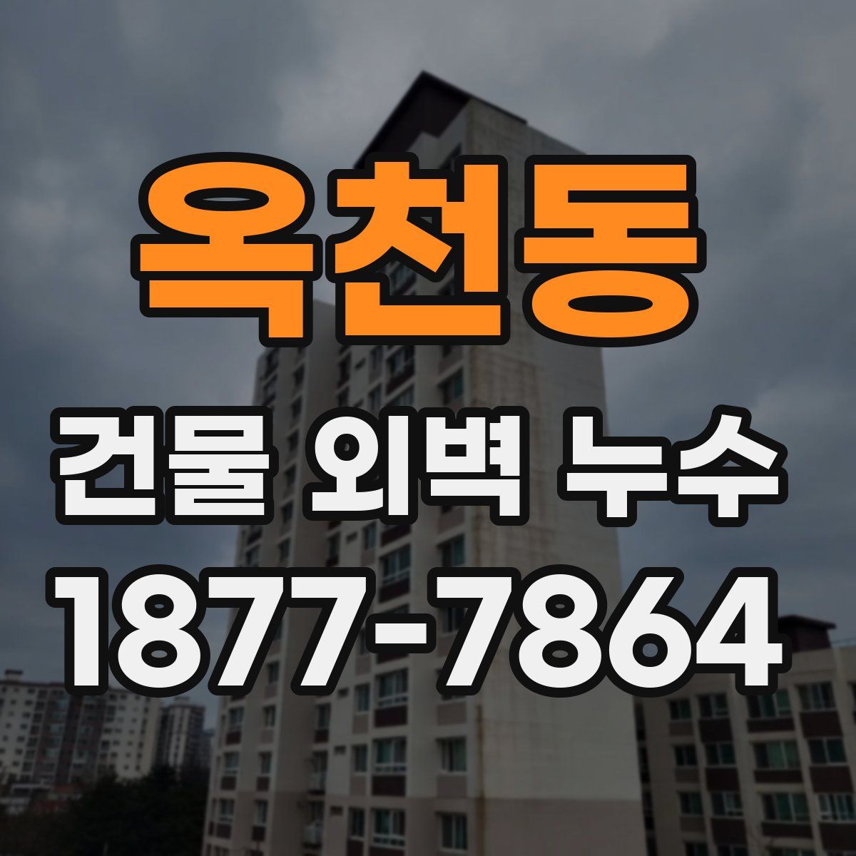 옥천동 건물 외벽 누수