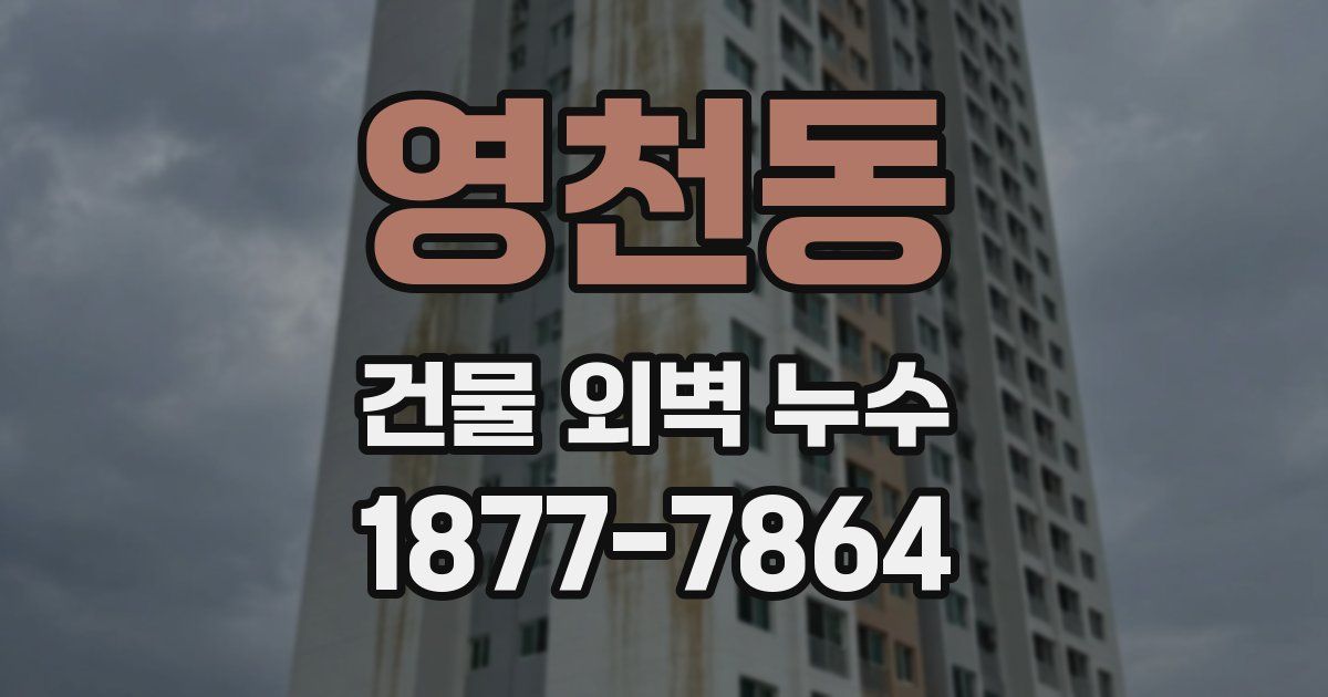 영천동 건물 외벽 누수