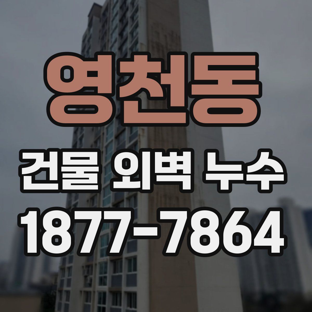 영천동 건물 외벽 누수
