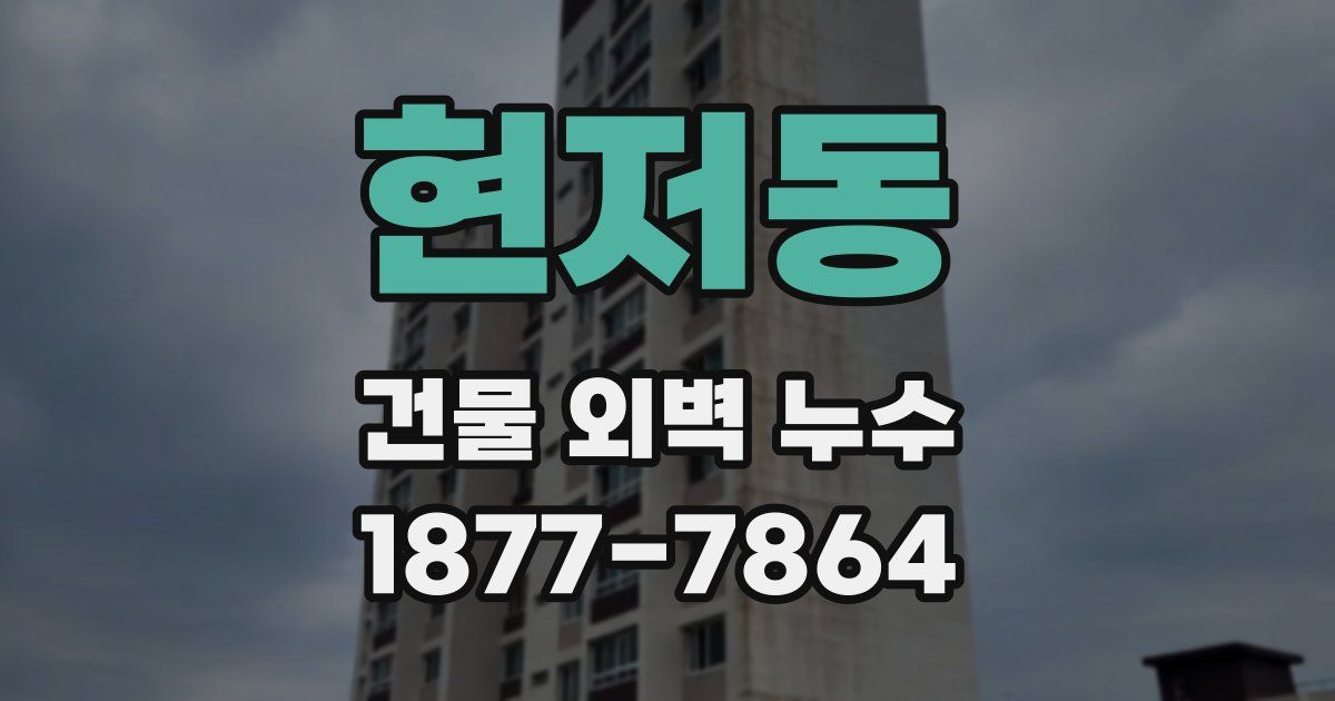 현저동 건물 외벽 누수