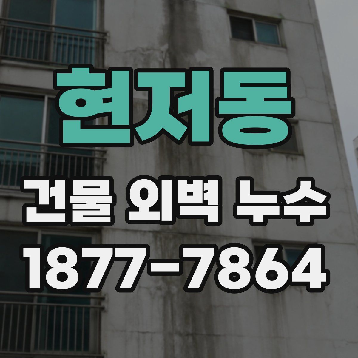 현저동 건물 외벽 누수