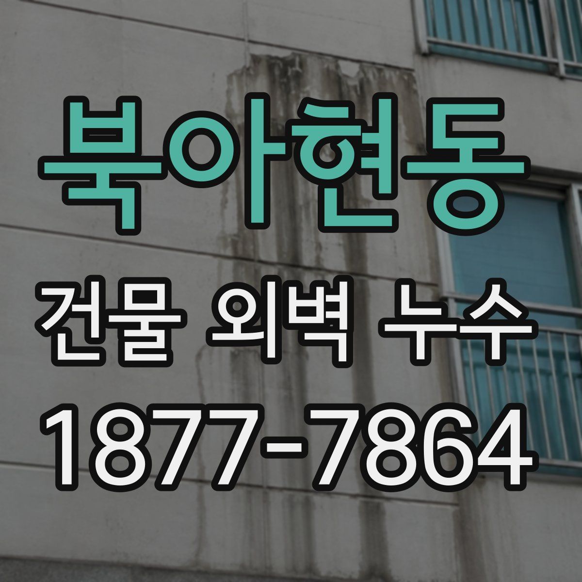 북아현동 건물 외벽 누수