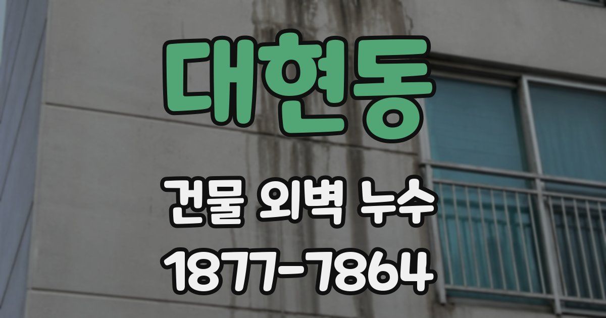 대현동 건물 외벽 누수