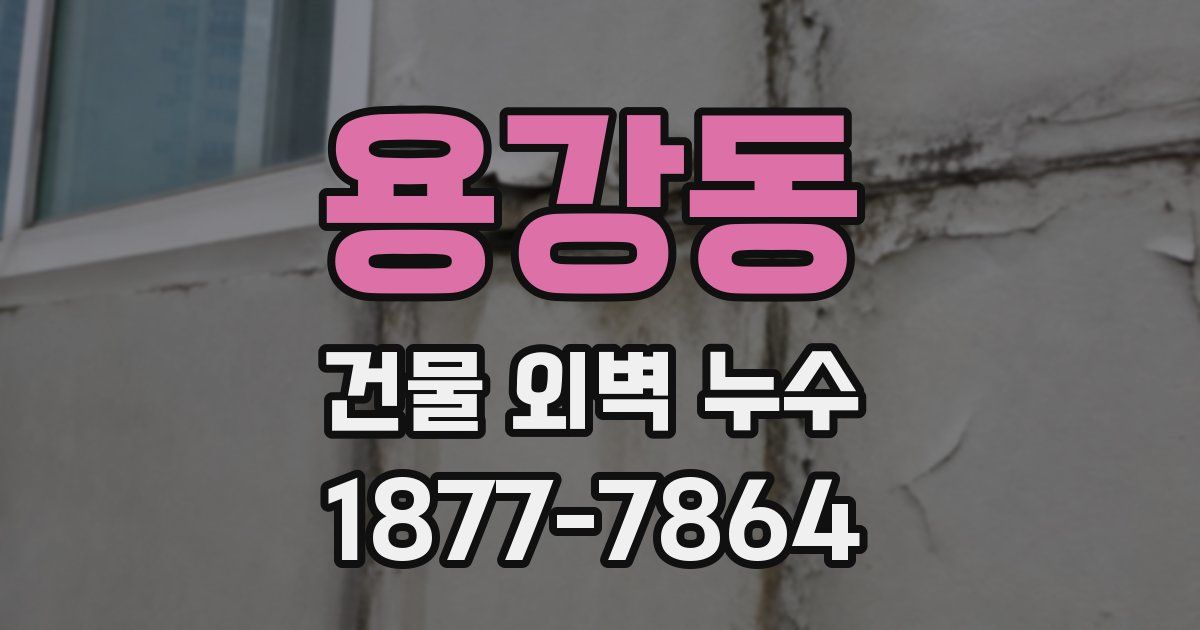 용강동 건물 외벽 누수