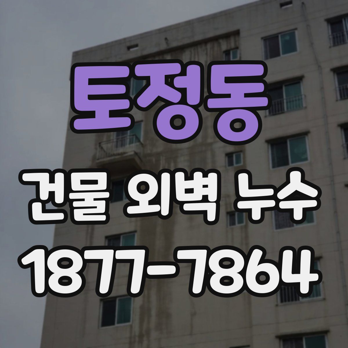 토정동 건물 외벽 누수