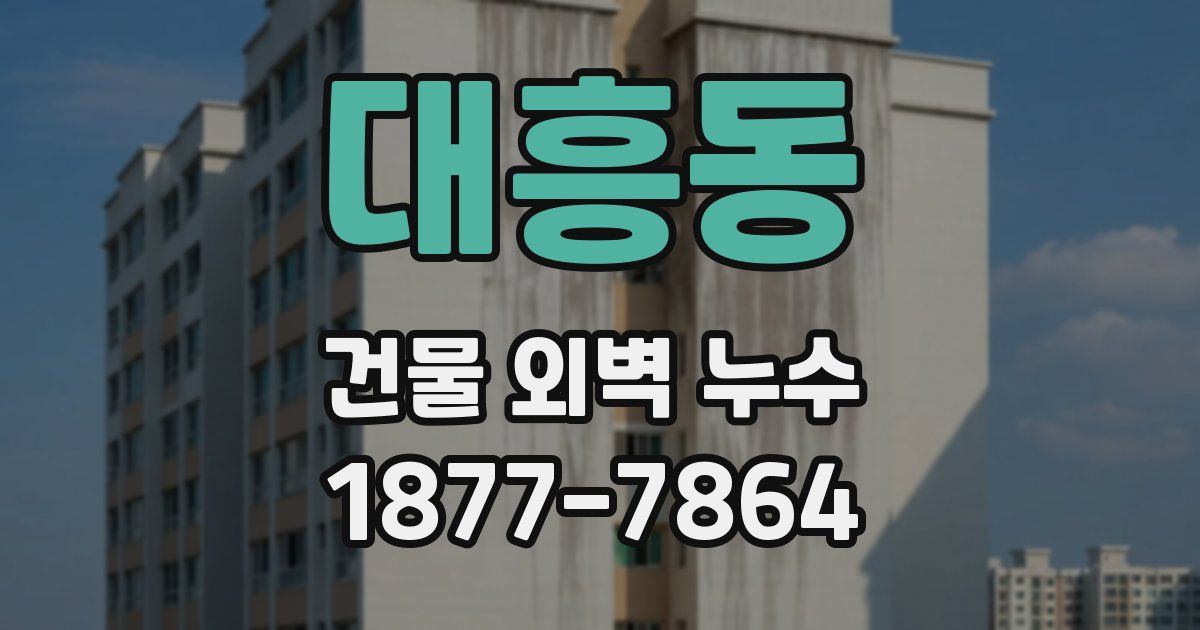 대흥동 건물 외벽 누수
