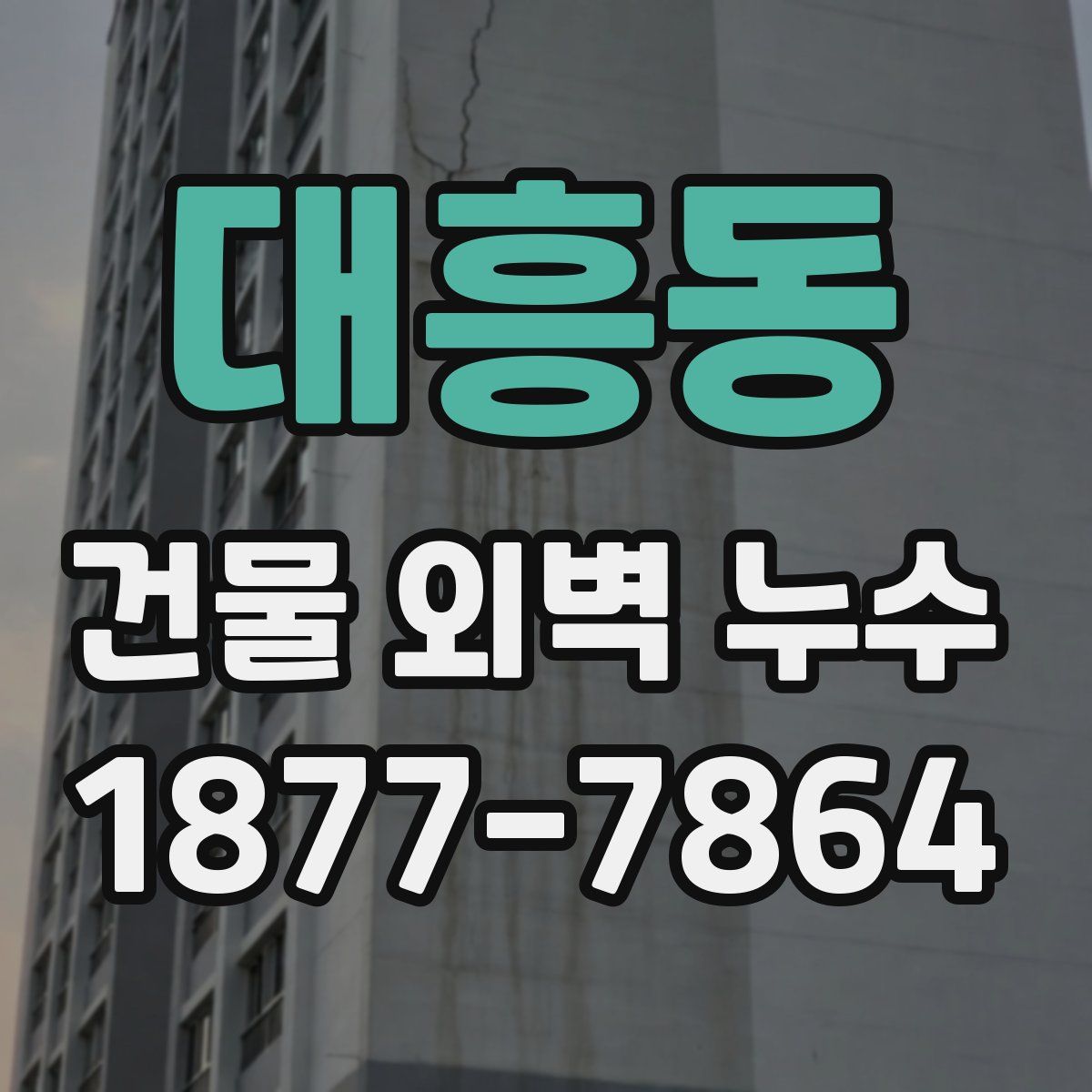 대흥동 건물 외벽 누수