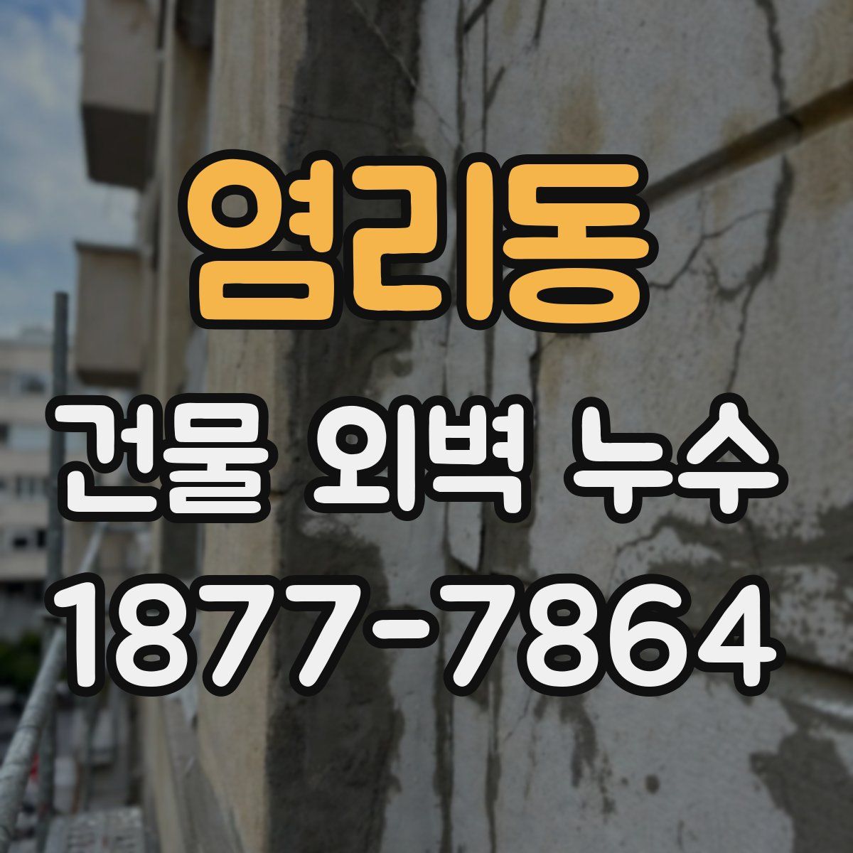 염리동 건물 외벽 누수
