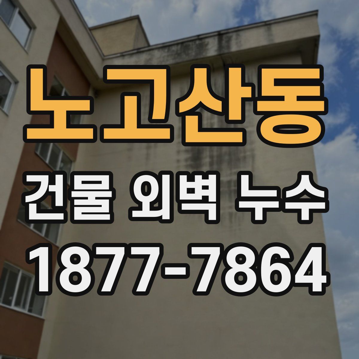 노고산동 건물 외벽 누수