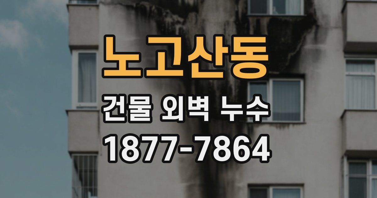 노고산동 건물 외벽 누수