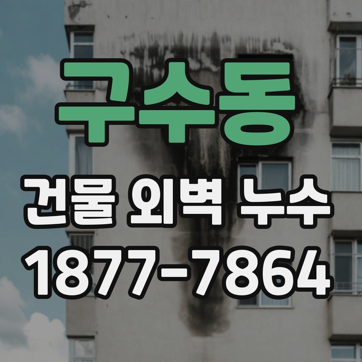 구수동 건물 외벽 누수